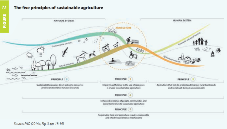EHF-regnerative-farming